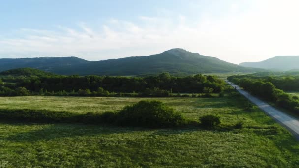 山と緑の森を背景にした緑の畑 — ストック動画