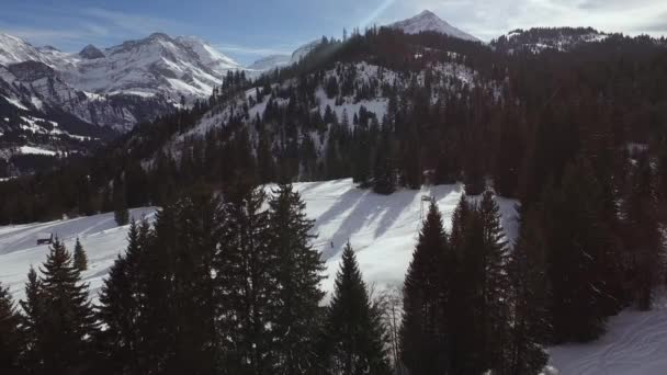 Hohe Winkel Von Bäumen Und Bergen — Stockvideo