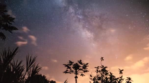 Movimento Direito Láctea Galaxy Com Nuvens Móveis Céu Noturno Plantas — Vídeo de Stock