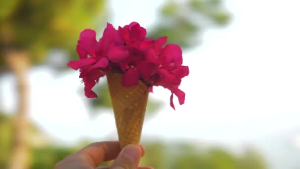 Ronddraaiend Met Summer Red Bouquet Waffle Cone — Stockvideo