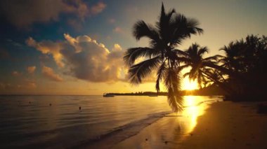 Plajda ve yatlarda Palm Trees Silueti olan Tropikal Cennet Adası Günbatımı Manzarası