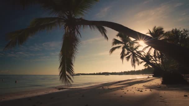 Tropical Paradise Island View Beach Yachts Palms Seen Palm Trees — стоковое видео