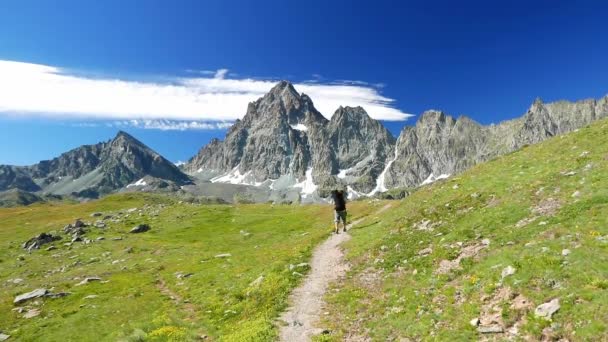 Vrouw Trekking Idyllisch Berglandschap Alpen — Stockvideo