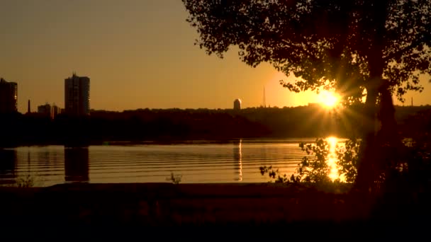 Silhouet Van Een Man Die Langs Promenade Loopt — Stockvideo