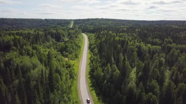 Аерофотозйомка Білого Автомобіля Сільській Дорозі Лісі — стокове відео