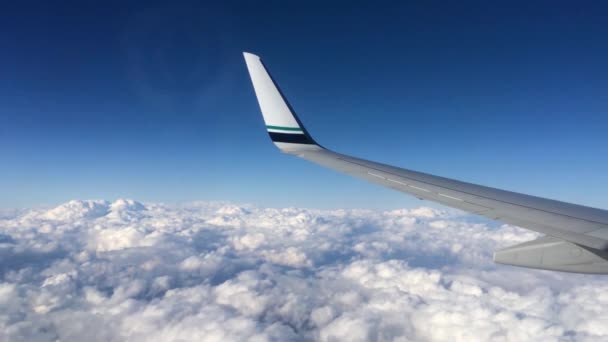 Avião Wing Sky Ala Avião Voando Acima Das Nuvens — Vídeo de Stock