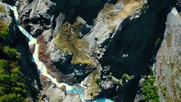 Alpine Berge Wasserfall Schneekappe Mount Rainier Und Almwiesen Von Der — Stockvideo