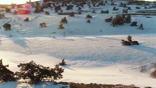 Flygfoto Över Spektakulära Sluttningarna Bergen Med Granar — Stockvideo