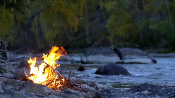 Bonfire Burnig Rzeka Platformy Jesienne Tło Natury Czasie Rzeczywistym — Wideo stockowe