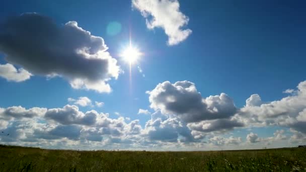 Σύννεφα Και Πεδίο Blue Sky — Αρχείο Βίντεο