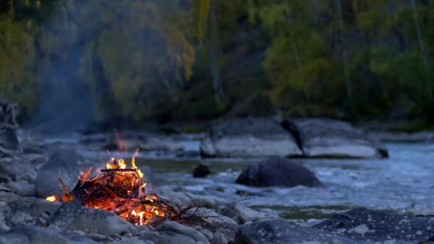 Płonące Ognisko Skalistym Brzegu Strumienia Łóżko Rapids Jesienny Las Liście — Wideo stockowe