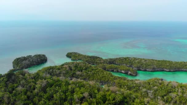 Voando Sobre Paraíso Tropical Linha Costeira Intocada Floresta Tropical Indonésia — Vídeo de Stock