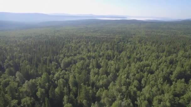 Δάσος Ένα Ορεινό Τοπίο Καλοκαίρι Ταξίδι Άγρια Φύση Γραφική Αεροφωτογραφία — Αρχείο Βίντεο