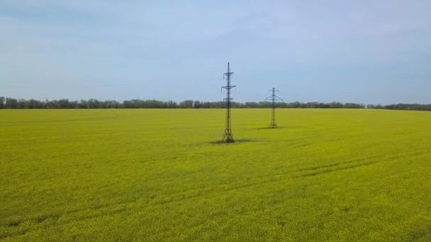 Pylons Energia Alta Tensão Campo Amarelo — Vídeo de Stock