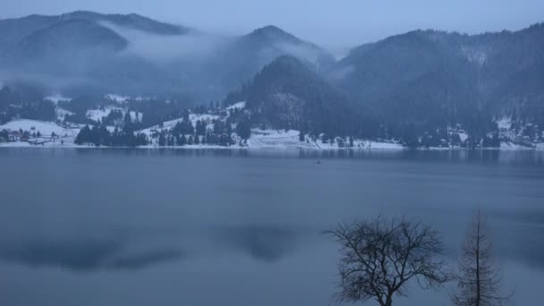 Collines Brumeuses Près Lac — Video