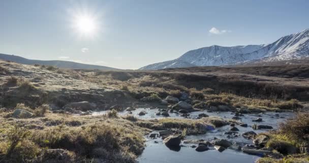 Yaz Sonbahar Saati Nde Mountain Meadow Timelapse Vahşi Doğa Kırsal — Stok video