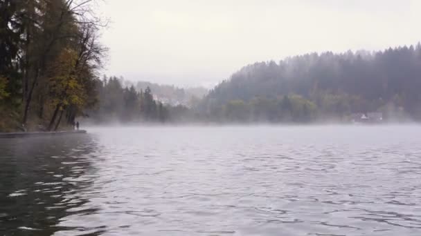 Nationaal Park Lake Bled — Stockvideo