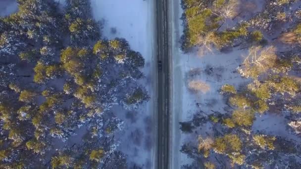 Carro Dirigindo Através Floresta Inverno País — Vídeo de Stock