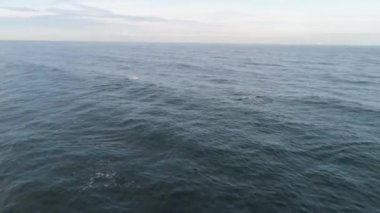Küçük dalgalı Koyu Mavi Deniz Burnu