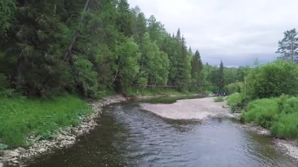 Malownicza Leśna Rzeka Stary Drewniany Most — Wideo stockowe