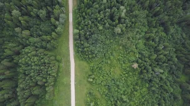 Road Crossing Forest Formacje Skalne — Wideo stockowe