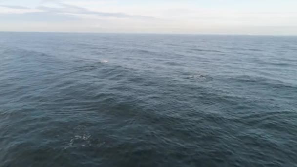 Küçük Dalgalı Koyu Mavi Deniz Burnu — Stok video