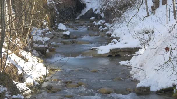 Små Floder Som Rinner Gstaad — Stockvideo