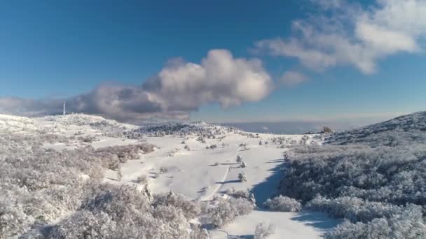 Snöiga Countyside Road Med Skog Och Fält Omger — Stockvideo
