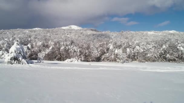 Snöig Länsväg Med Skog — Stockvideo