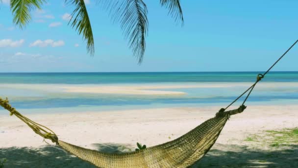 Halm Hammock Skuggan Palm Tropical Beach Azure Sea — Stockvideo