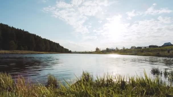 Sole Sul Fiume Mattino Video Green Lawn River Nella Foresta — Video Stock