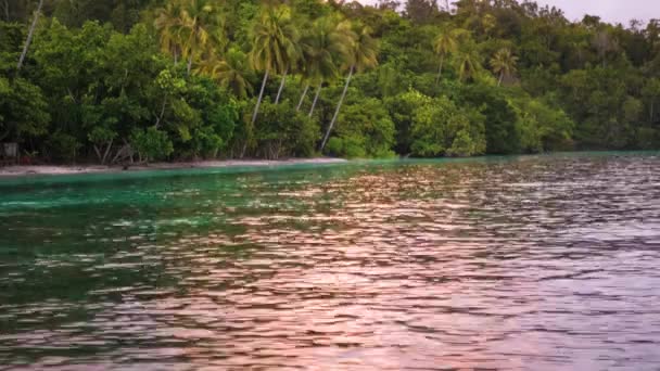 Günbatımı Işığı Yüzeyine Yansıyor Sahilde Gam Adası Nda Raja Ampat — Stok video
