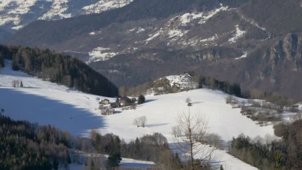 Inclinazione Vista Della Foresta Abeti Montagne — Video Stock