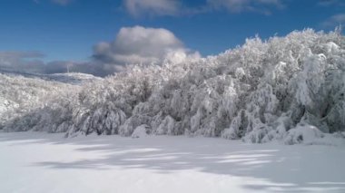 Kışın Ormanın En İyi Görünümü