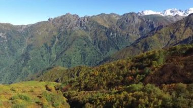  Dokunulmamış Doğal Sonbahar Ormanı