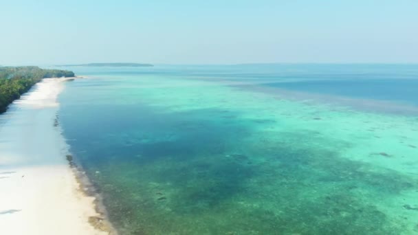 Unberührte Küste Tropischer Strand Karibik Korallenriff Palmenwald — Stockvideo