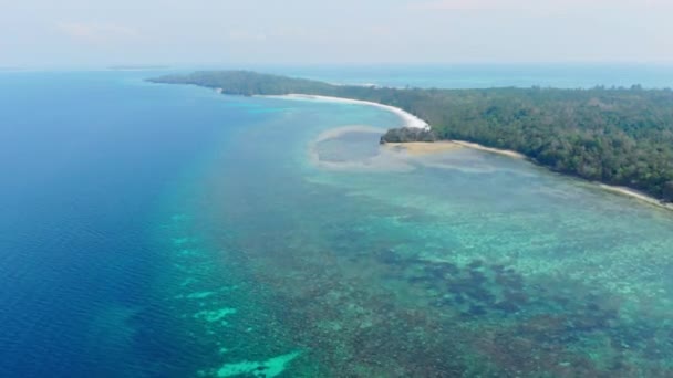 Nieskażona Linia Brzegowa Tropikalna Plaża Karaibska Morze Rafa Koralowa Las — Wideo stockowe