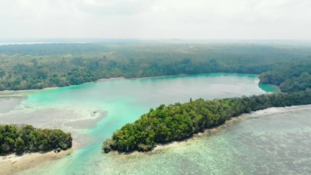 Costa Contaminada Playa Tropical Mar Caribe Arrecife Coral Palmera Bosque — Vídeos de Stock