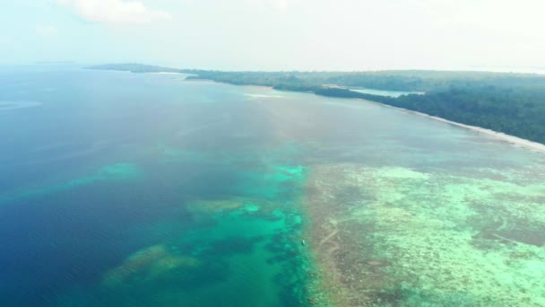 Αμόλυντη Ακτογραμμή Τροπική Παραλία Καραϊβική Θάλασσα Κοραλλιογενής Ύφαλος Φοίνικας Δάσος — Αρχείο Βίντεο