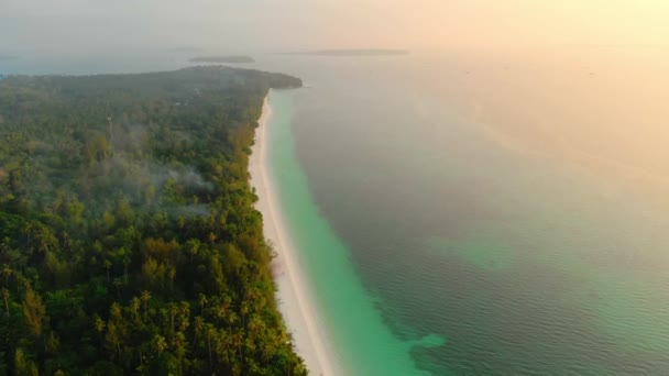 Αμόλυντη Ακτογραμμή Τροπική Παραλία Καραϊβική Θάλασσα Κοραλλιογενής Ύφαλος Φοίνικας Δάσος — Αρχείο Βίντεο