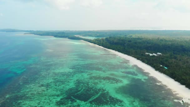 Litoral Não Contaminado Praia Tropical Mar Caribe Recife Coral Palmeiras — Vídeo de Stock