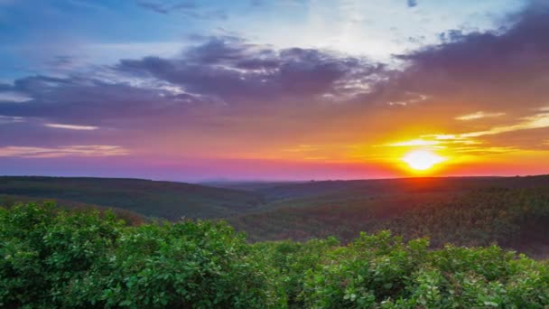 Tramonto Unico Alberi Gomma Piantagione Agricoltura Banlung Cambogia — Video Stock