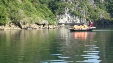 Bir grup turist ve rehber, Karst Kireçtaşı 'nın güzel yeşil manzarasının tadını çıkarıyorlar.