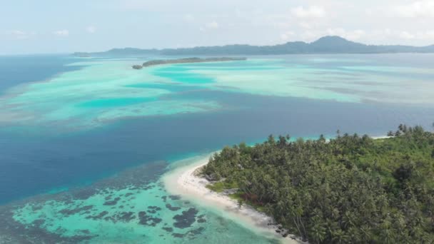 Latające Nad Tropikalną Wyspą Biała Plaża Karaiby Morze Turkusowe Woda — Wideo stockowe
