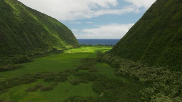 两座山之间的绿原与遥远的漂洋大海之间 照相机滑落 — 图库视频影像