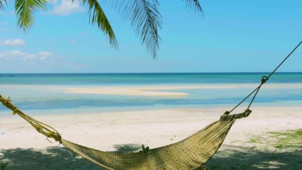 Hammock Shadow Palm Trees Two Canoe Floating Horizon — Stock Video