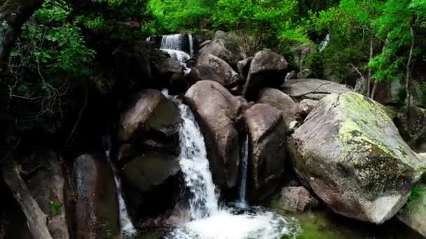 Video Van Jungle Stream Landschap — Stockvideo