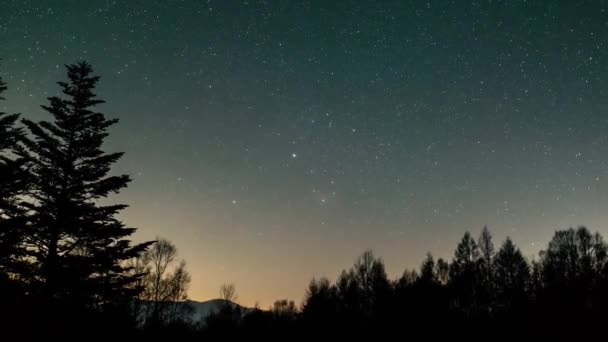 Чумацький Шлях Метеоритним Душем Зорями Рухаються Нічному Небі Над Сосновими — стокове відео