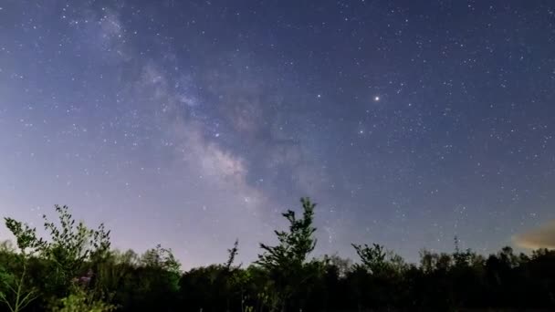 Vía Láctea Con Perseides Lluvia Meteoritos Sobre Árboles Verdes Antes — Vídeo de stock