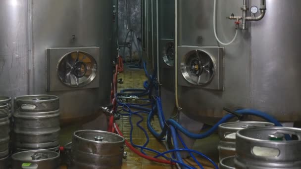 Producción Cerveza Fábrica Brewhouse Malta Cerveza Enfría Tanques Relájate Cerveza — Vídeo de stock